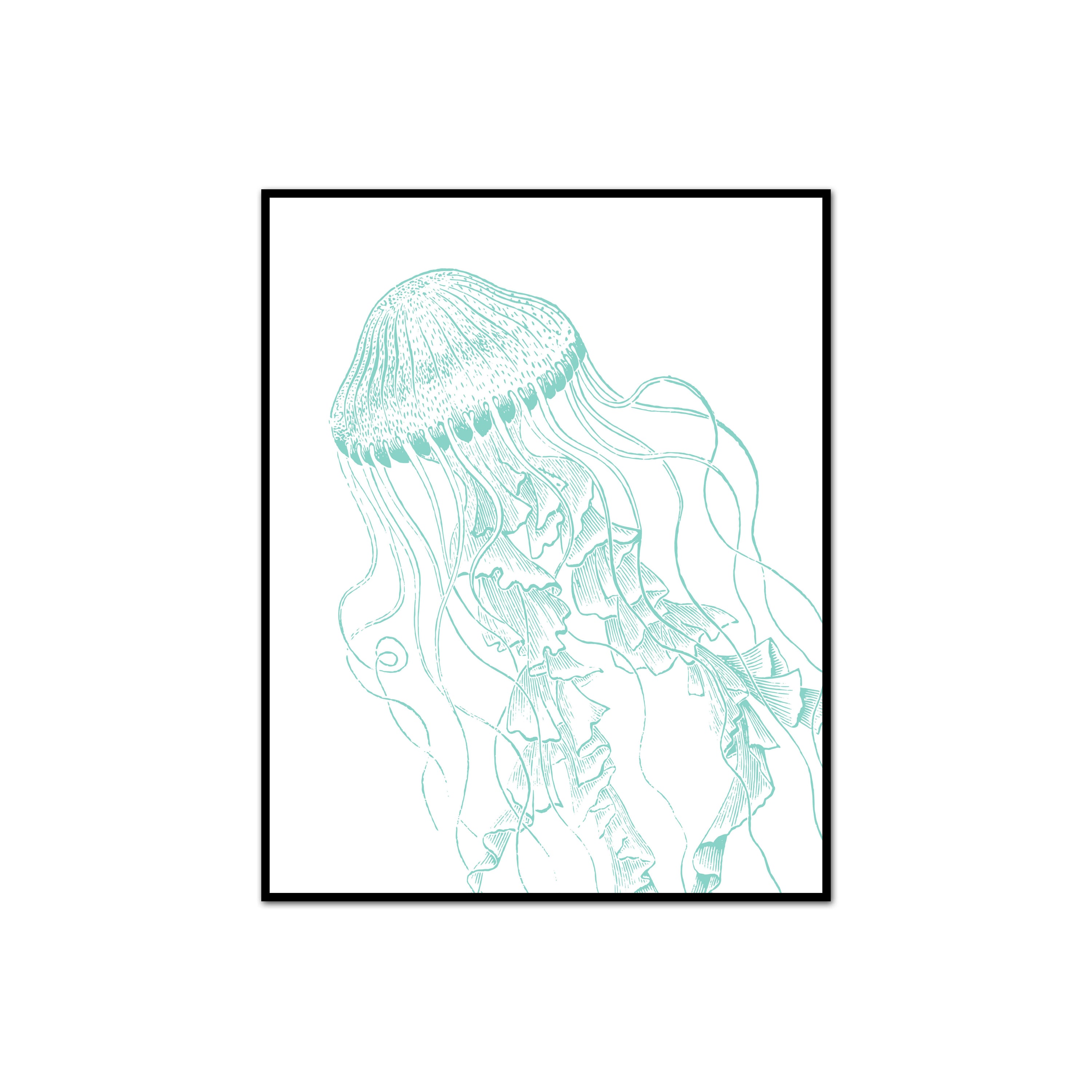 Jellyfish Vintage Illustration