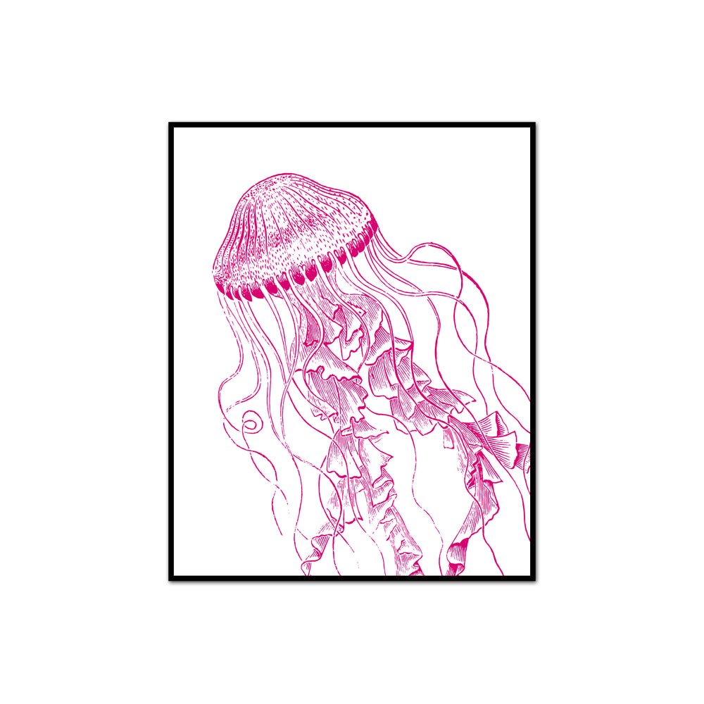 Jellyfish Vintage Illustration