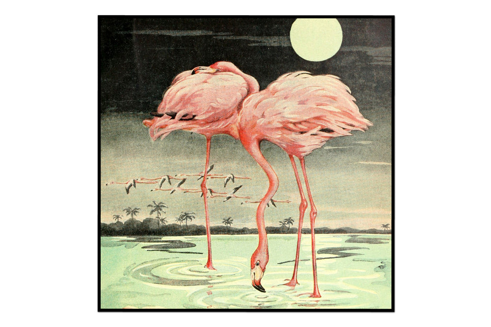 Vintage Flamingo At Night