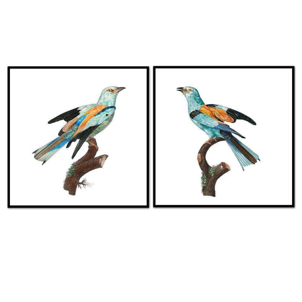 Birds of Turquoise Pair No. 1