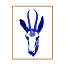 Gazelle