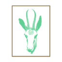 Gazelle