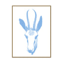 Gazelle