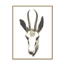 Gazelle
