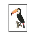 Vintage Toucan No. 2