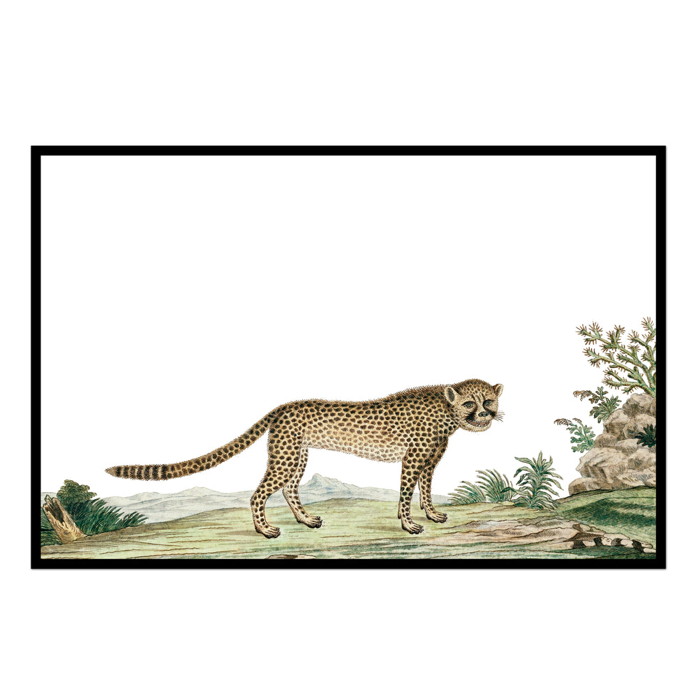 Vintage Cheetah