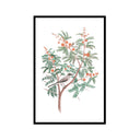 Vintage Citrus Tree