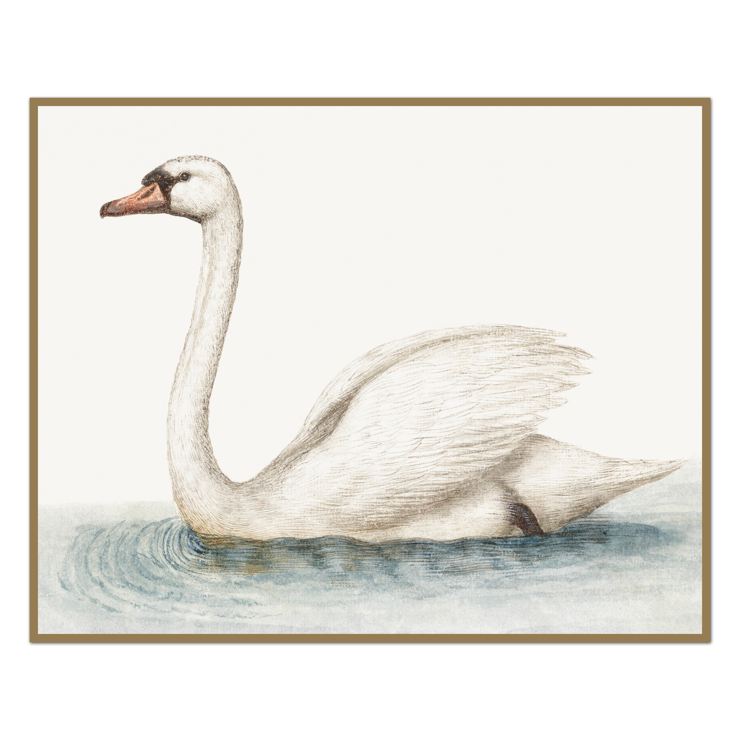 Vintage Swan Swimming
