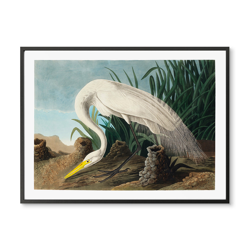 Vintage White Heron