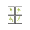 Fern Set of 4