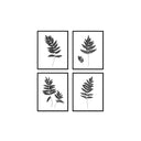 Fern Set of 4