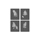 Fern Set of 4