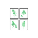 Fern Set of 4