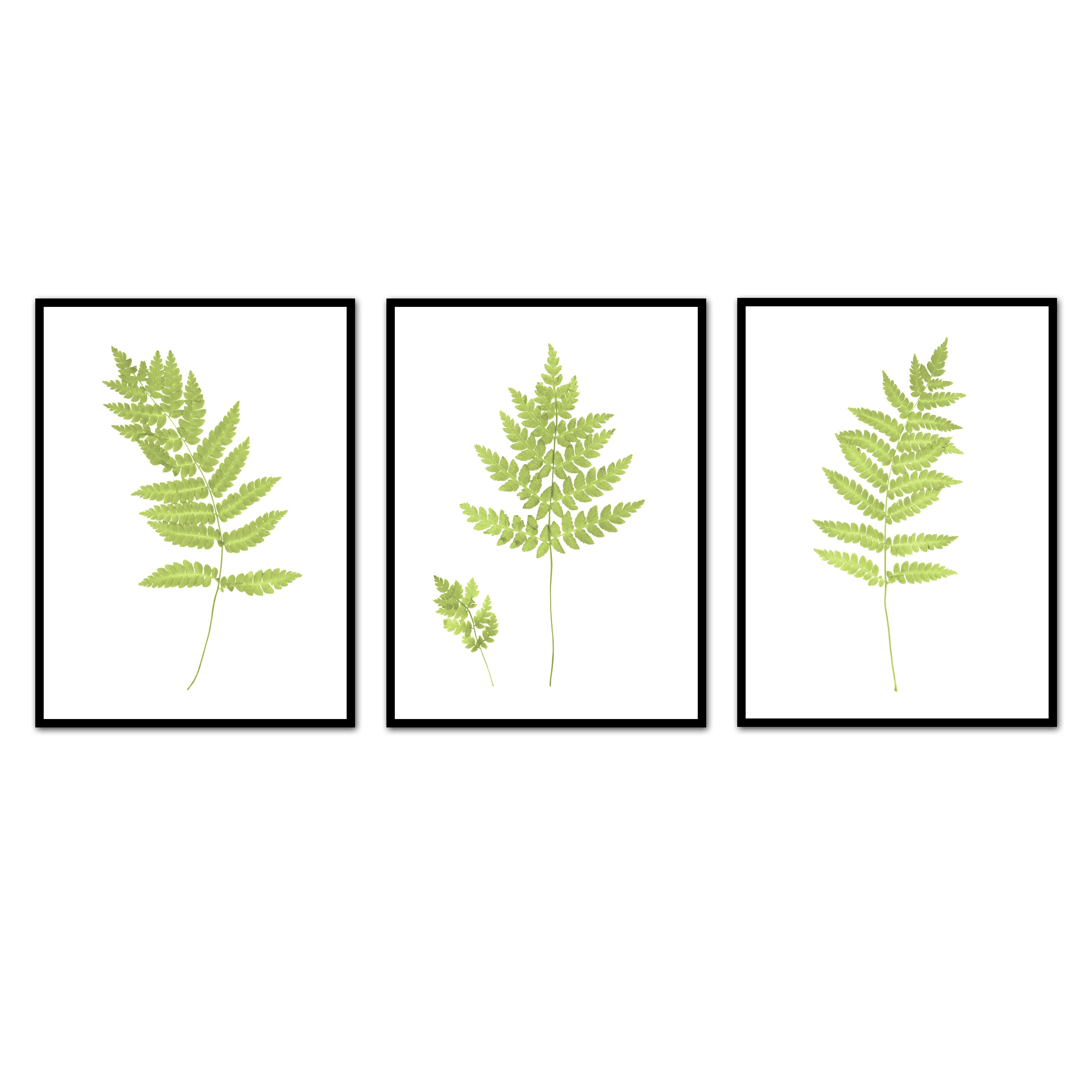 Fern Trio No. 1 | Fern Painting offers on Handmade Paper | Gold Paint Botanical | Gift for Plant Lover