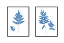 Fern Pair