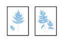 Fern Pair