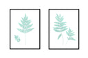 Fern Pair