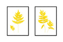 Fern Pair