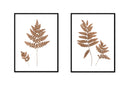 Fern Pair