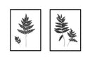 Fern Pair