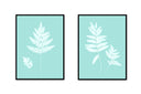 Fern Pair