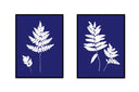 Fern Pair
