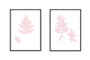 Fern Pair