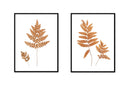 Fern Pair
