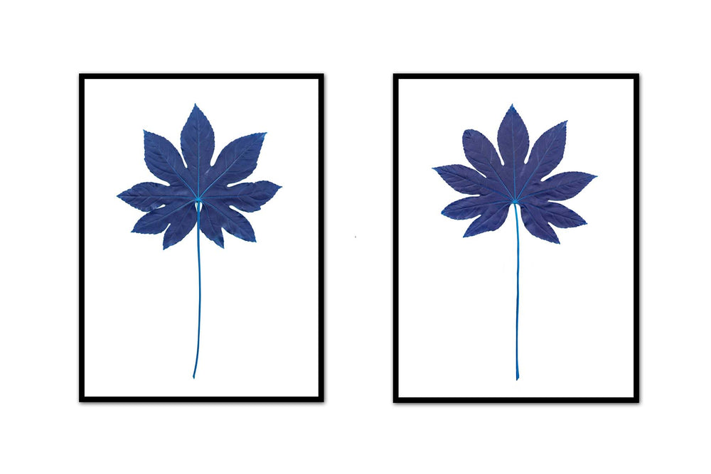Fatsia Stalk Print Pair | Modern Botanical Leaf Art | Custom Prints ...