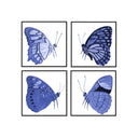 Butterfly Flight Set of 4