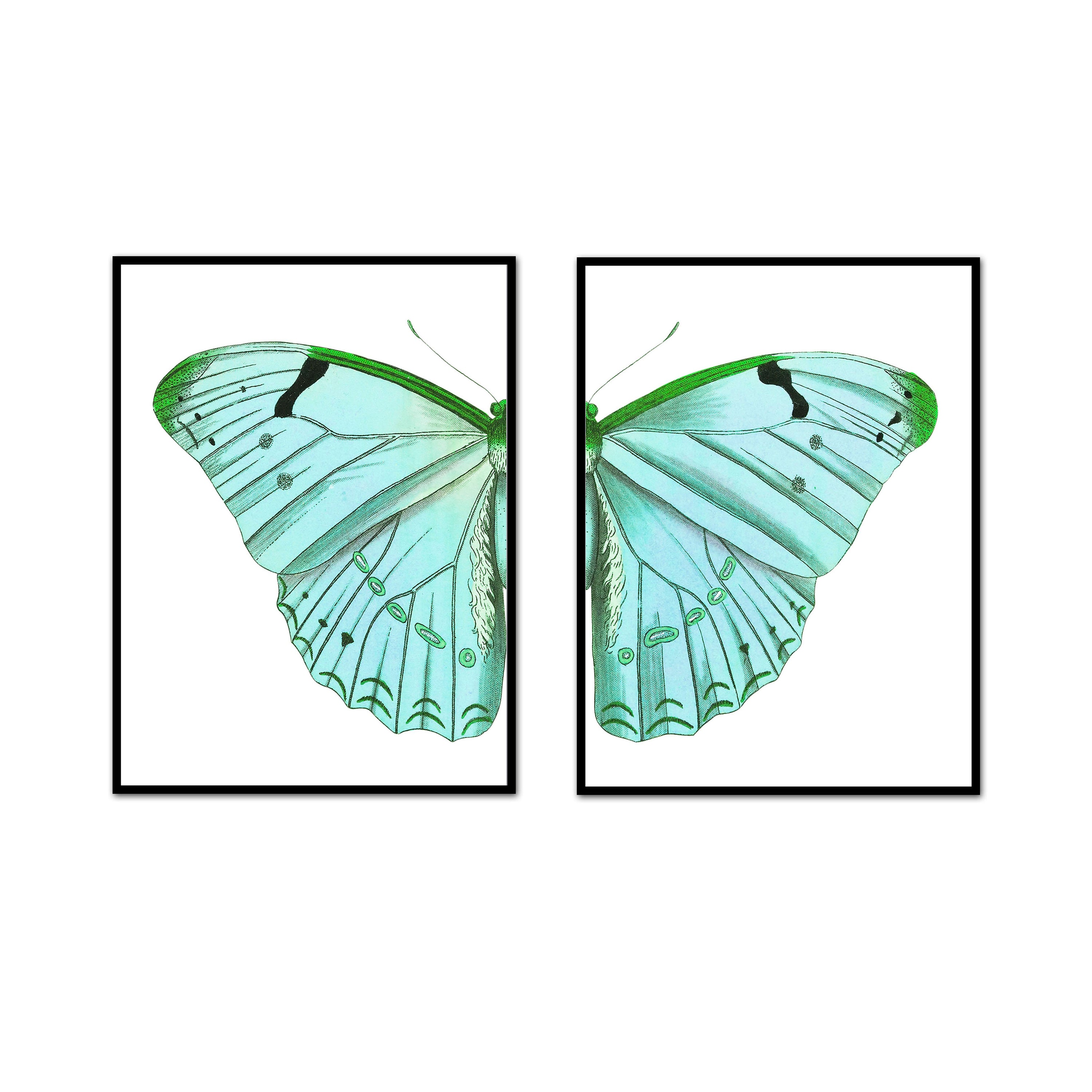 Flyaway Butterfly Split