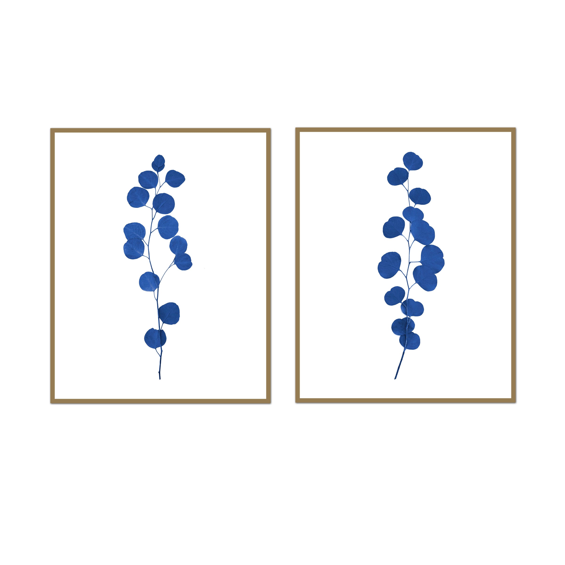 Eucalyptus Stalk Print Pair | Modern Minimal Botanical Art | Wholesale ...