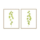 Eucalyptus Stalk Pair