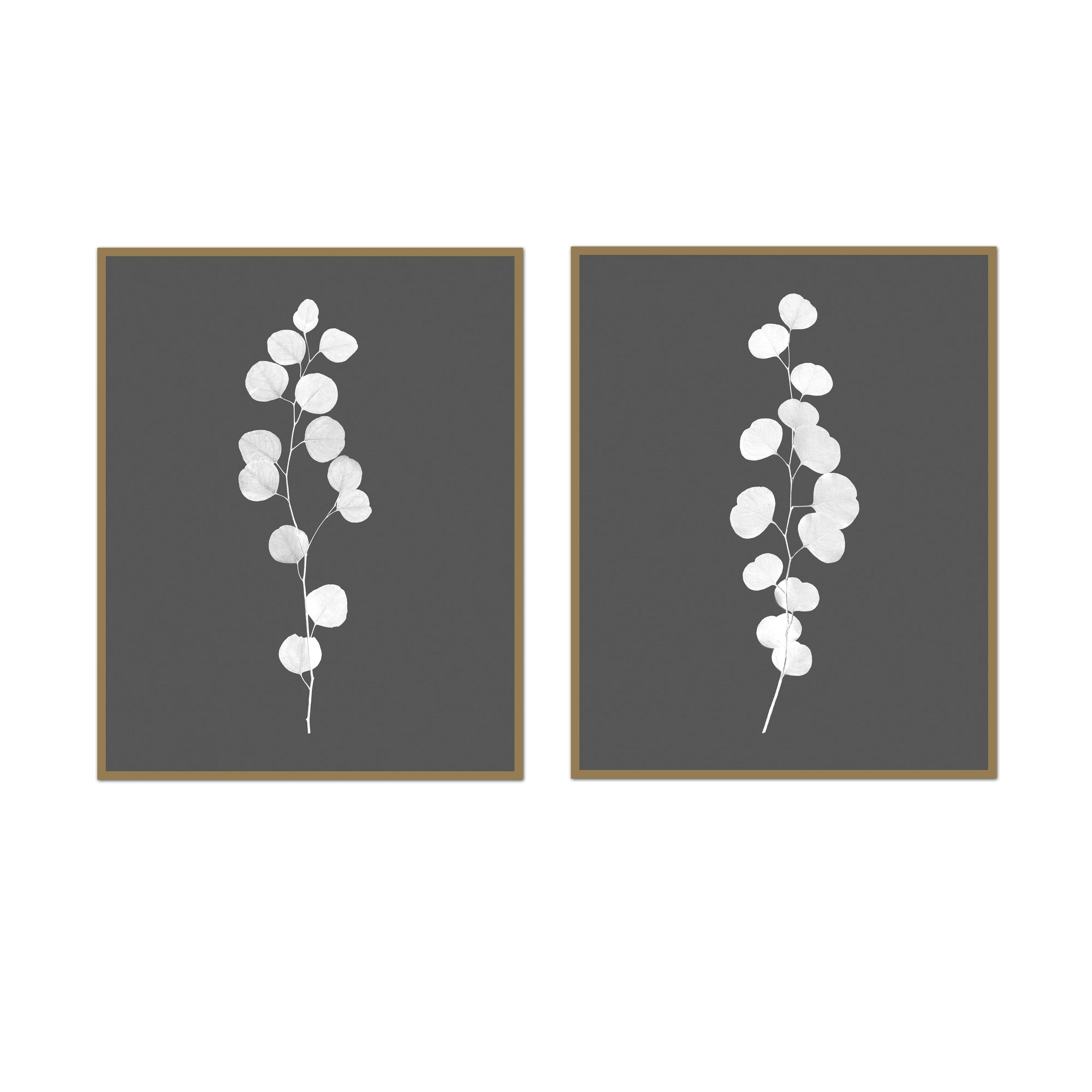Eucalyptus Stalk Print Pair | Modern Minimal Botanical Art | Wholesale ...