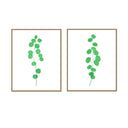 Eucalyptus Stalk Pair