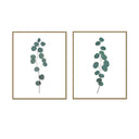 Eucalyptus Stalk Pair