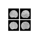Seagrape Leaf Set of 4