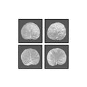 Seagrape Leaf Set of 4
