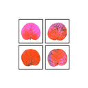 Seagrape Leaf Set of 4