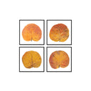 Seagrape Leaf Set of 4