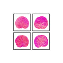 Seagrape Leaf Set of 4