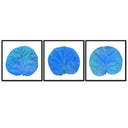 Seagrape Leaf Trio
