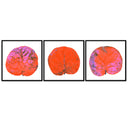 Seagrape Leaf Trio