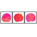 Seagrape Leaf Trio