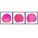 Seagrape Leaf Trio