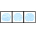 Seagrape Leaf Trio