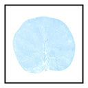 Seagrape Leaf