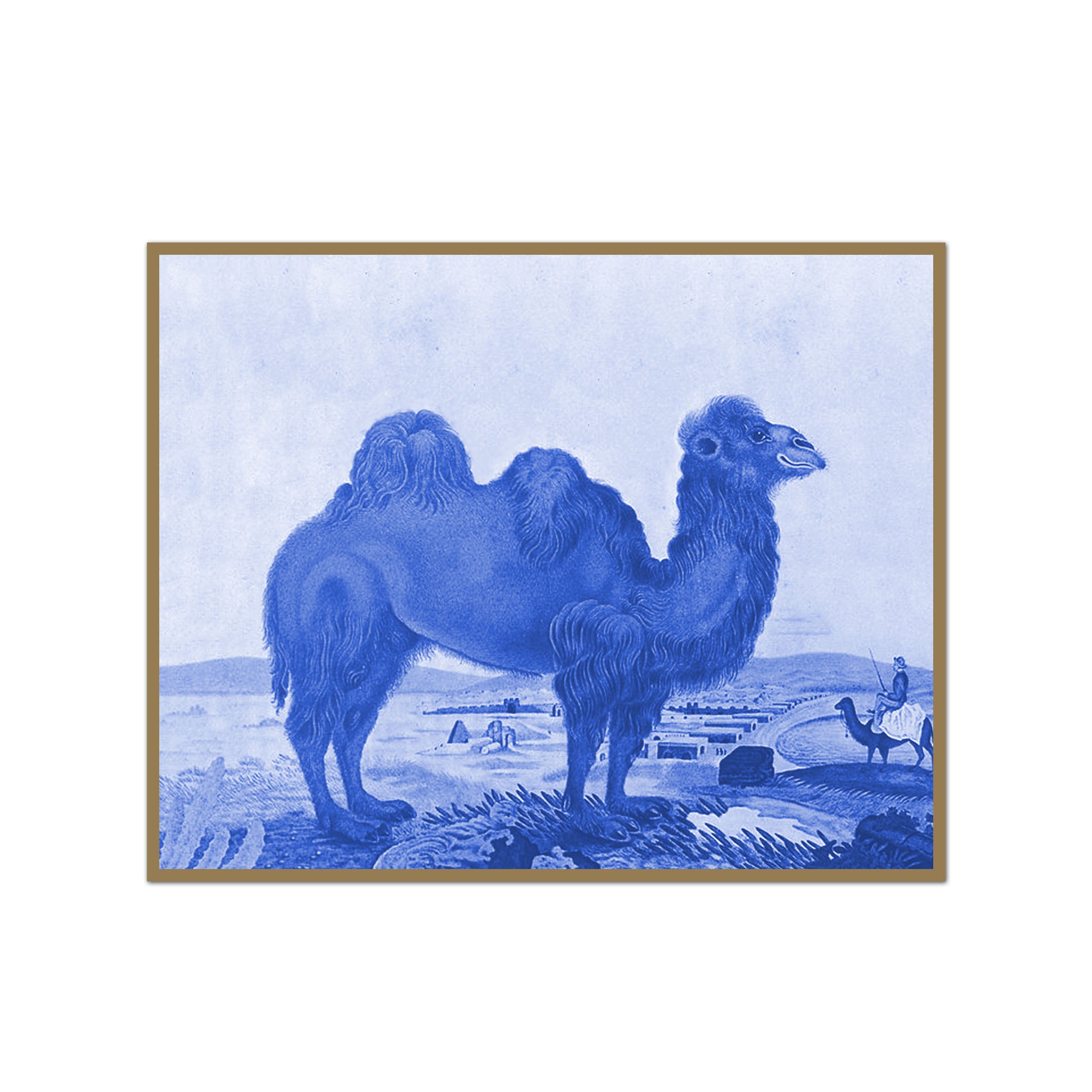 Vintage Camel Drawing