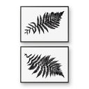 Australian Tree Fern Pair