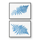 Australian Tree Fern Pair